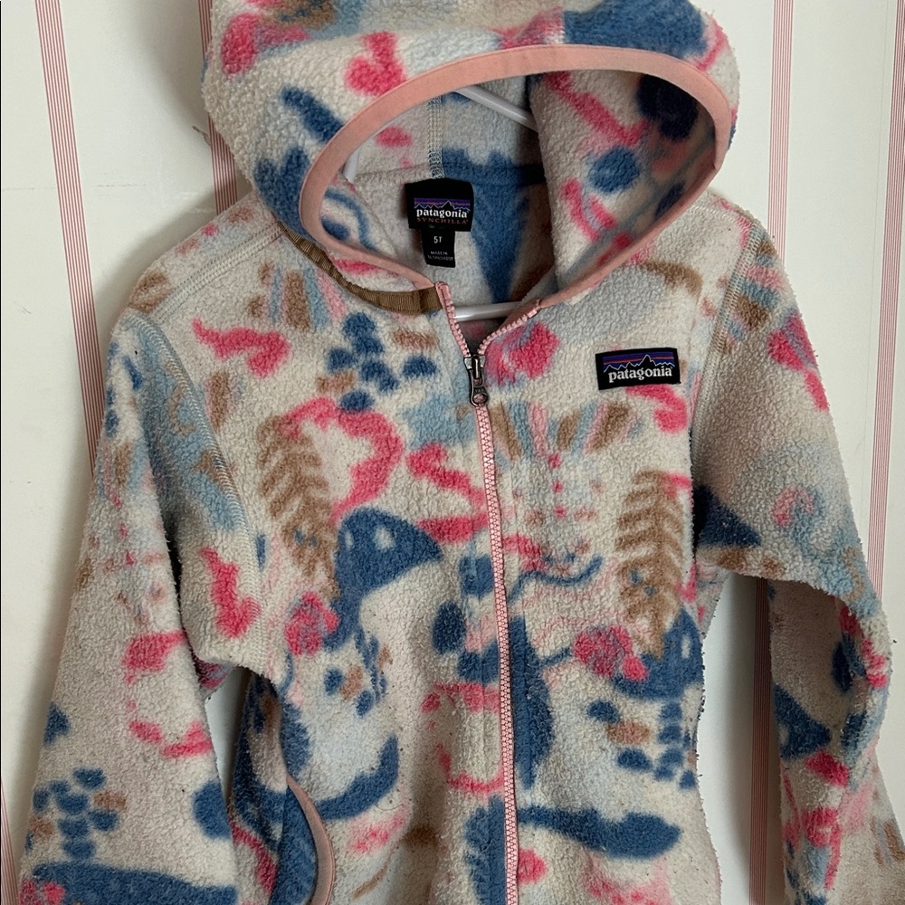 Patagonia (Synchilla) Multicolor Fleece Jacket